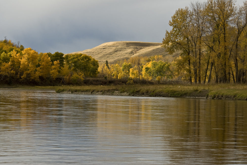 The Bow River – A River Recreation Plan is Needed