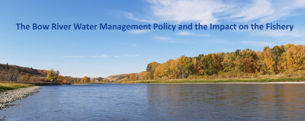 The Bow River Water Management Policy and the Impact on the Fishery