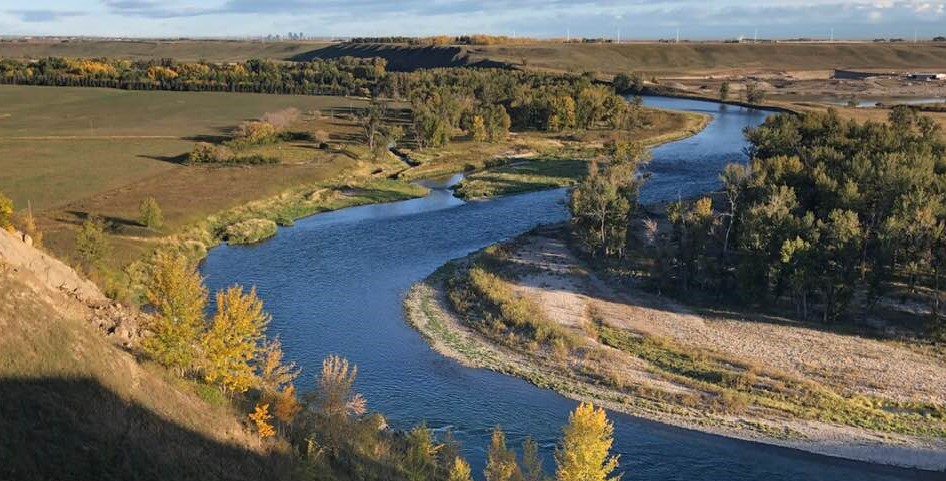 Bow River Trout Recycle Rates as an Index for a Sustainable Fishery